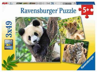   Ravensburger komplet sestavljank, panda, lev, tiger, 3 x 49
