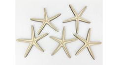 Rayher.	 Morske zvezde, set 5, 8cm, leseni dekor