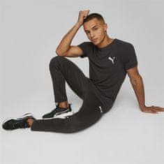 Puma Hlače črna 170 - 175 cm/S Evostripe Pants