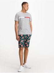 Tommy Hilfiger Moška Hampton Flex Floral Kratke hlače Večbarvna L