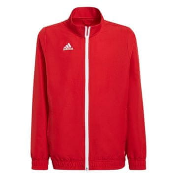Adidas Športni pulover 164 - 169 cm/S Entrada 22 Presentation