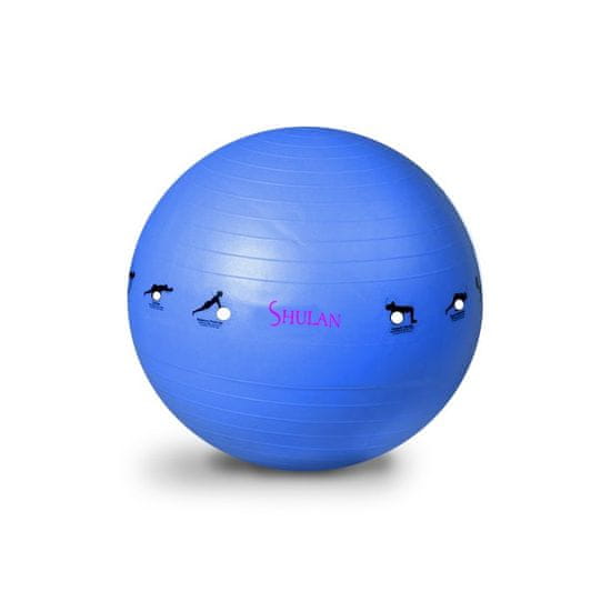 SEDCO Gimnastična žoga SHULAN YOGA BALL 65 cm