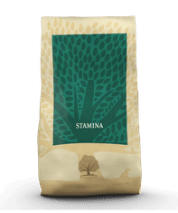 Essential foods hrana za odrasle pse Stamina, 12 kg