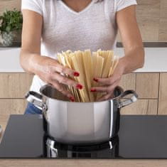 Lagostina Icona kozica s pokrovom 24cm / 5,7l / indukcija / inox
