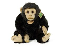 Rappa Plišasti šimpanz 27 cm