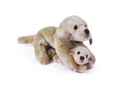 Rappa Plišasti labradorski pes z mladičem, ki leži 25 cm