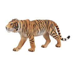 Mojo bengalski tiger