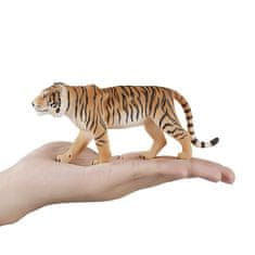 MOJO bengalski tiger