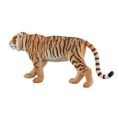 MOJO bengalski tiger