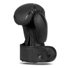 DBX BUSHIDO boxerské rukavice B-2v22 velikost 16 oz