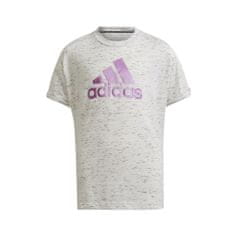 Adidas Majice obutev za trening siva S Future Icons