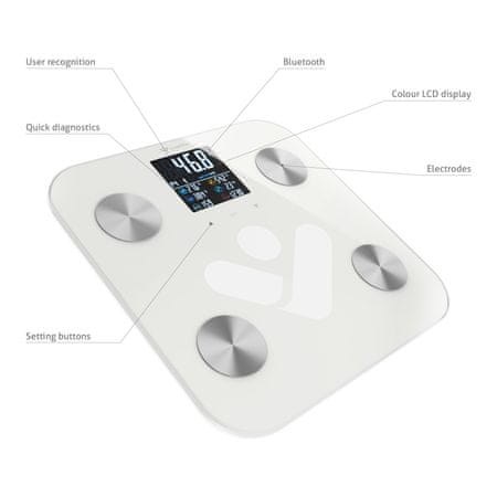  TrueLife FitScale W6 BT osebna tehtnica, 19 funkcij 