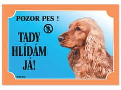 DAFIKO Tabulka kokr anglický zlatý 1 ks