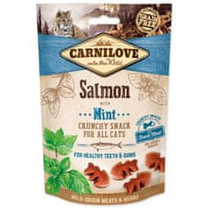 Carnilove CARNILOVE Cat Crunchy Snack Salmon with Mint with fresh meat 50 g