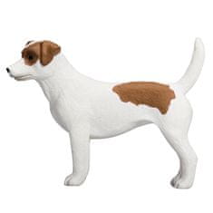 MOJO Jack Russell terier