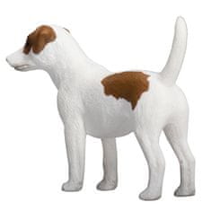 MOJO Jack Russell terier
