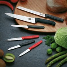 Victorinox Nož za meso / rezilo 22cm / 5.2003.22 / inox