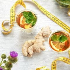 ROSSEN Natural TEATOX čaj za uravnavanje prebave