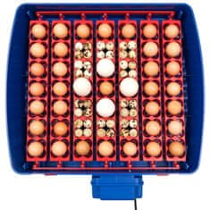 NEW Inkubator za valjenje 49 jajc, avtomatski z zaščito BIOMASTER 150 W