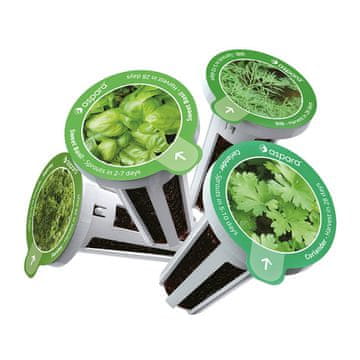 slomart komplet semen aspara by growgreen - zelišča