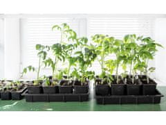 GARDEN LINE Komplet plastičnih lončkov 9 kosov 9x9x10 cm 90 kosi