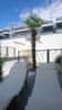 image.id