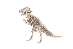 Woodcraft Lesena 3D sestavljanka Tyrannousaurus