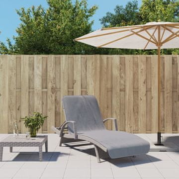 Vidaxl vidaXL Brisače za na plažo, 2 kosa, sive, 75 x 200 cm, blago, 400 g/m²