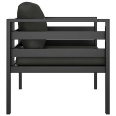 Vidaxl Enosed 2 kosa z blazinami aluminij antraciten