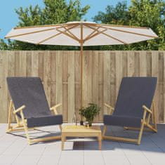 Vidaxl Brisače za plažo 2 kosa antracitne 60x135 cm tkanina 400 GSM