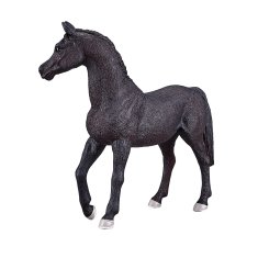 MOJO Arabski žrebec Black