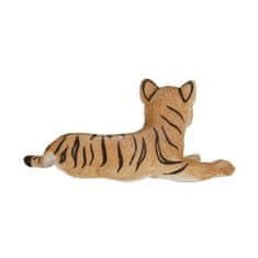Mojo mladič bengalskega tigra leži