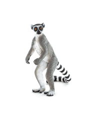 MOJO Lemur kata