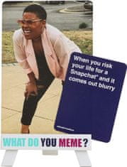 Pravi Junak igra s kartami What Do You Meme? Fresh Memes (razširitev) #2 angleška izdaja