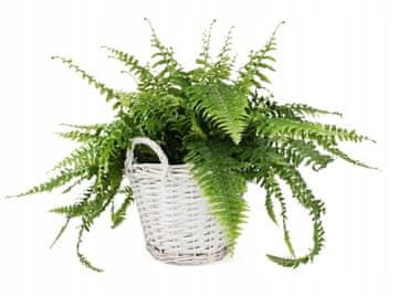 shumee Pletena košara z ročaji, bela, 31 cm