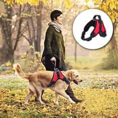 Cool Mango Pasja oprsnica, z prilagodljivimi trakovi, ponoči se sveti, oprsnica za pse, za optimalen nadzor na sprehodih, enostavna za uporabo, lahka in prenosljiva oprsnica, za hišne ljubljenčke, XL - Harny