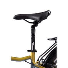 MTF Električno kolo Road 3.4, treking - moško, 18", 29", 32 N.m, baterija Samsung 36 V/19.6 Ah (705 Wh) do 160 km, 24 prestav Shimano