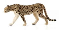 Mojo Cheetah