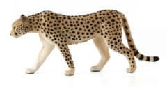 MOJO Cheetah