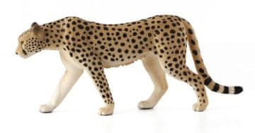 MOJO Cheetah