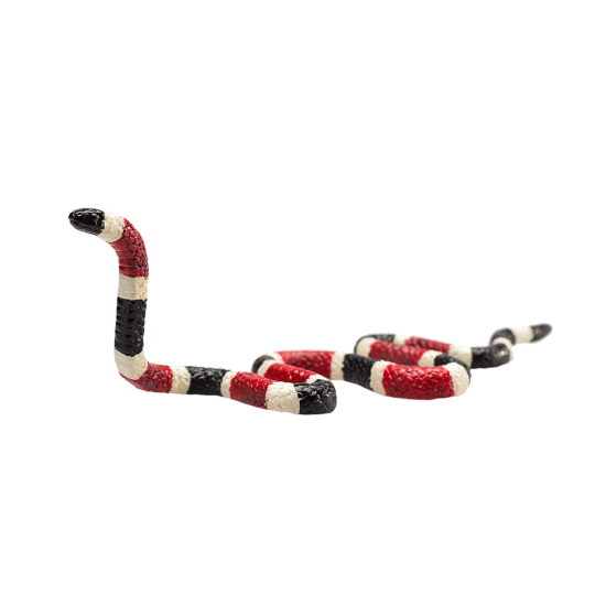 MOJO Coral Snake