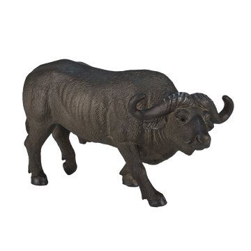 MOJO Buffalo African