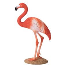 MOJO Caribbean Flamingo