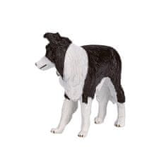 MOJO Border Collie