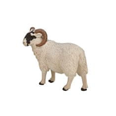 MOJO Hampshire ram
