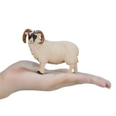 MOJO Hampshire ram