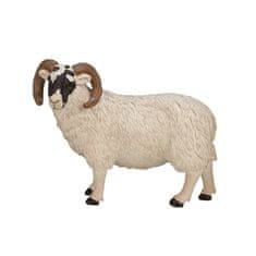 MOJO Hampshire ram
