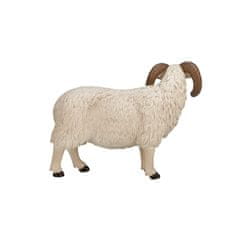 MOJO Hampshire ram