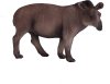 Južnoameriški tapir