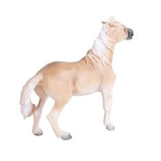 MOJO Mare Brumby